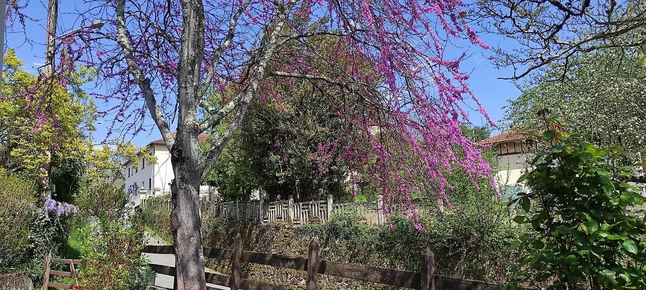 Hébergement de vacances Maison Au Pied De La Montagne Aspet